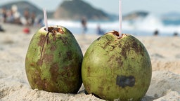 Zwei Kokusnüsse an der Copacabana in der Sonne. © dpa - Bildfunk Foto: Sebastian Kahnert