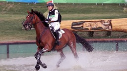 Ingrid Klimke reitet auf Hale-Bob Old. © dpa Bildfunk Foto: Friso Gentsch