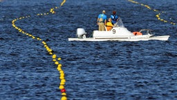 Ein offizielles Boot inspiziert die Wetterbedingungen vor den Ruder-Wettbewerben. © dpa - Bildfunk Foto: Soeren Stache